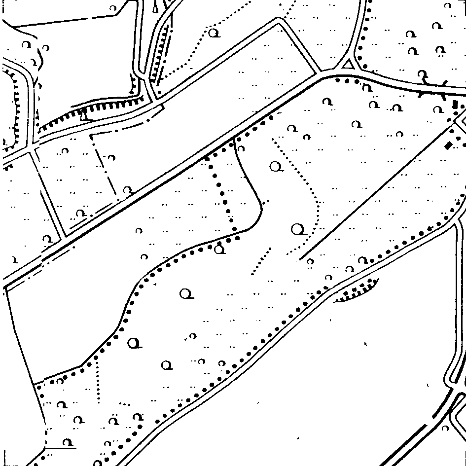 b1